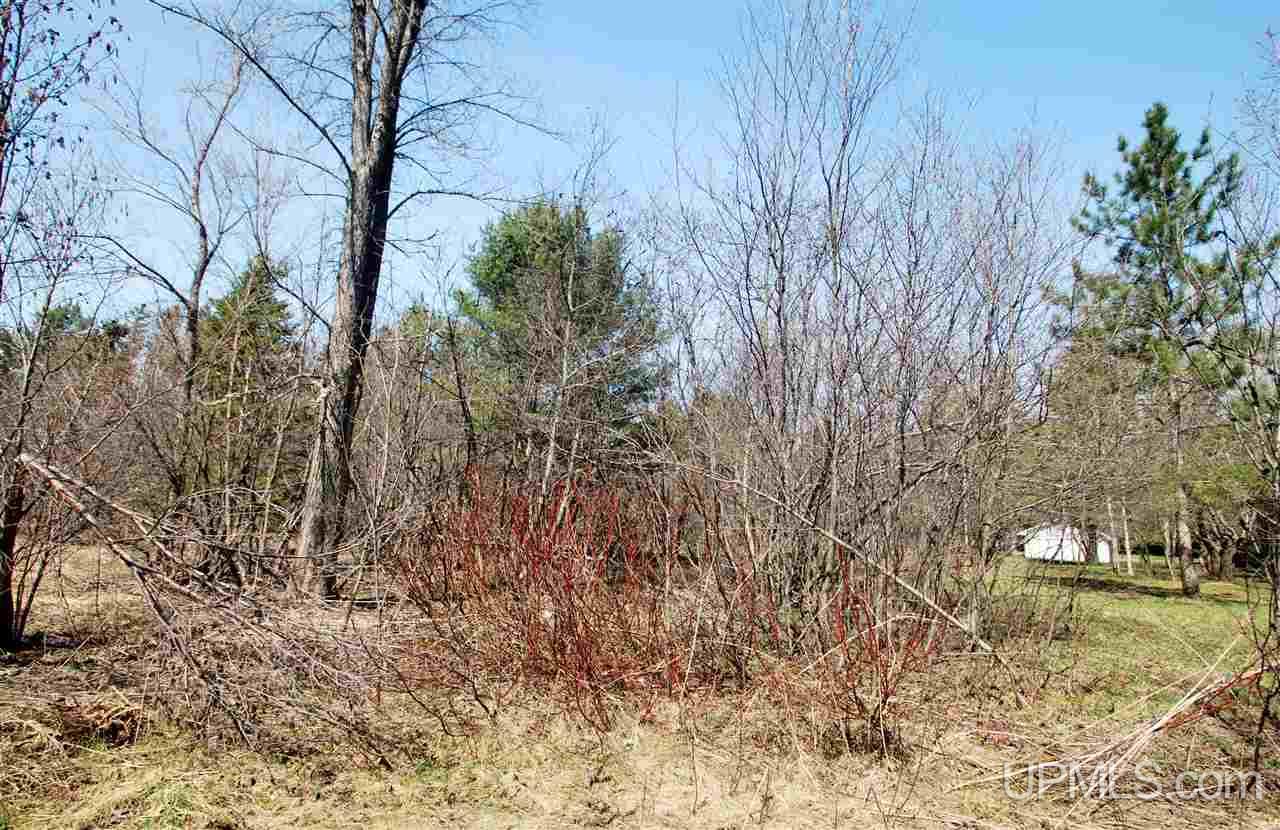 45285 Bootjack Road Lake Linden, MI 49945 - Photo 2 of 13