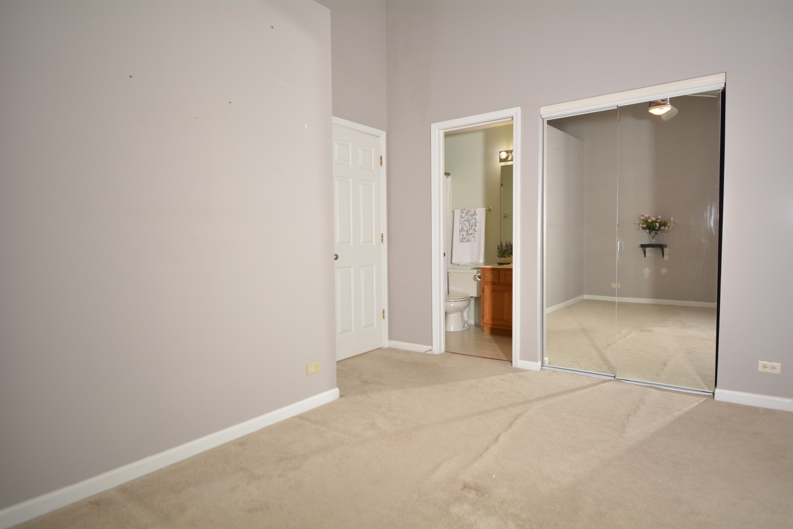 8249 Ripple Ridge Darien, IL 60561 - Photo 22 of 27 an empty room with mirror
