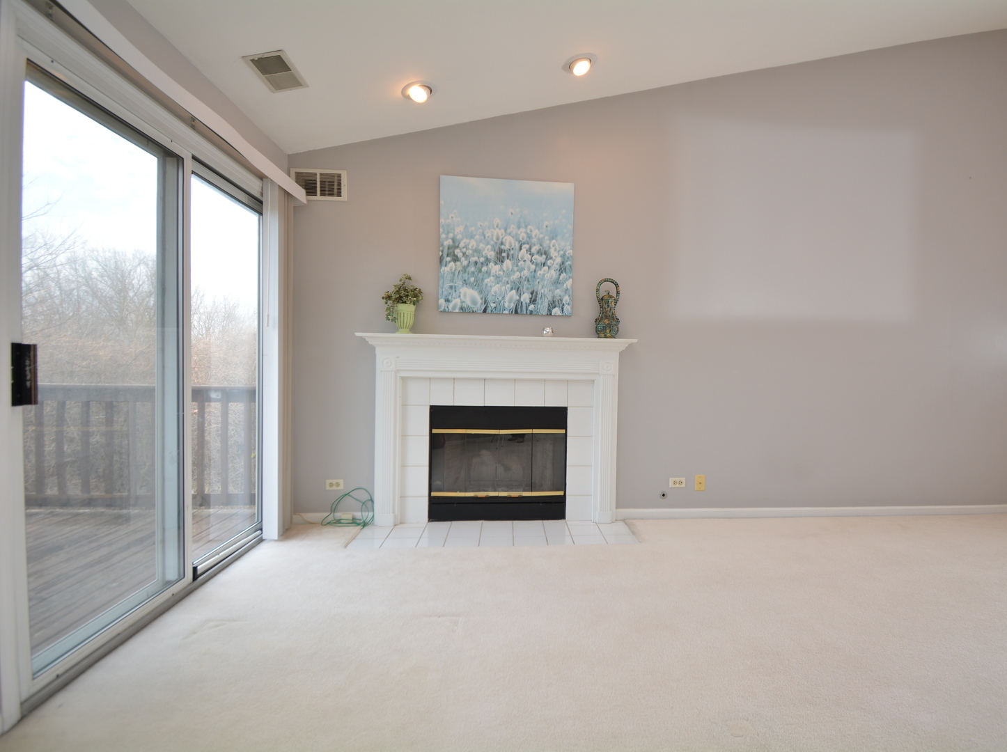 8249 Ripple Ridge Darien, IL 60561 - Photo 6 of 27 a view of an empty room with a fireplace