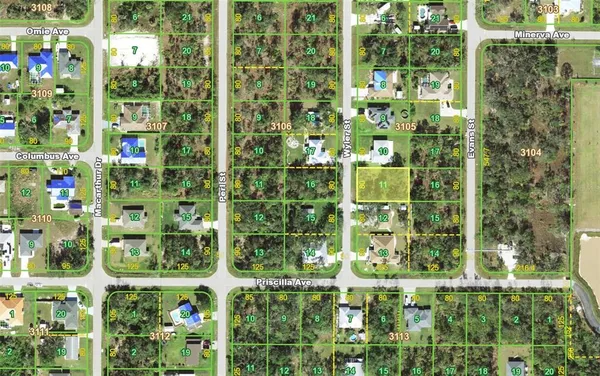 a view of a garden in the city