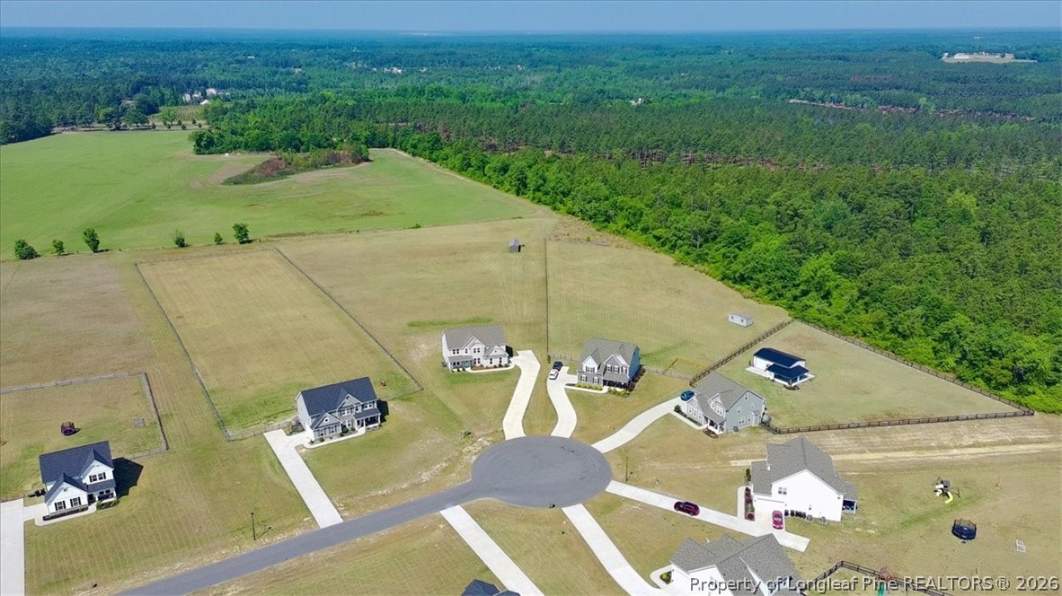 339 Rocking Horse Lane Raeford, NC 28376 - Photo 43 of 47