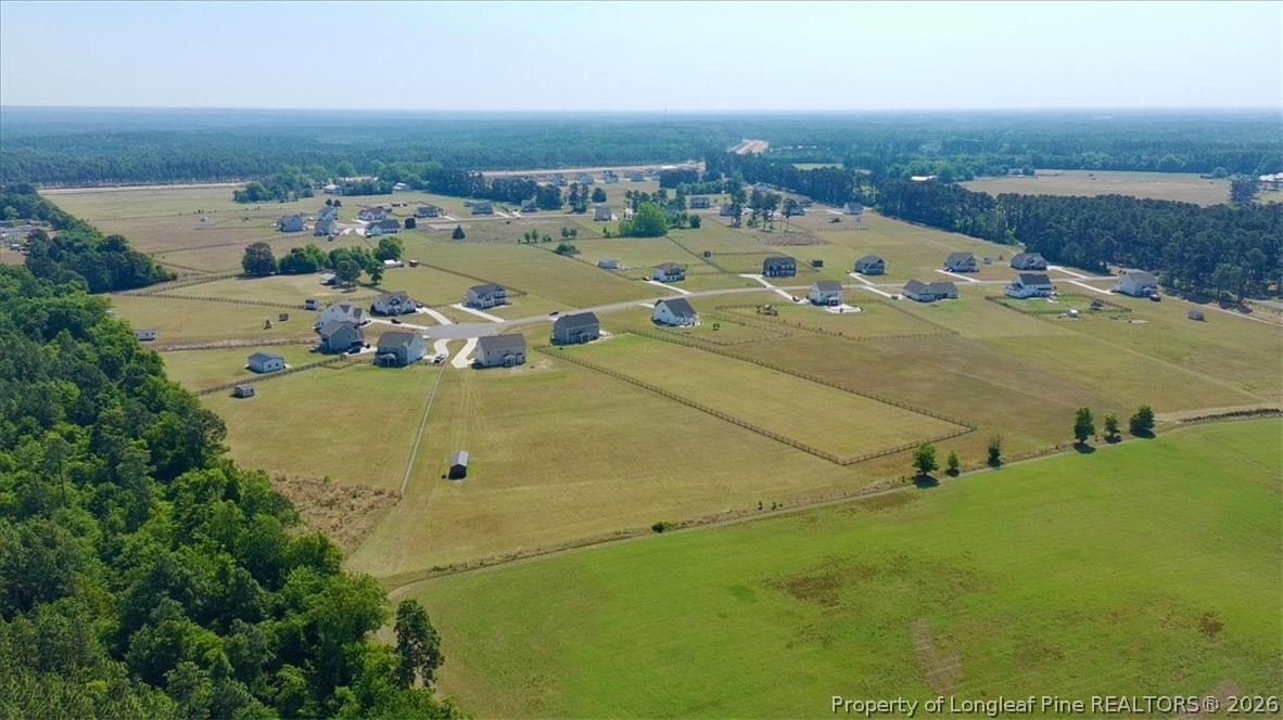 339 Rocking Horse Lane Raeford, NC 28376 - Photo 46 of 47