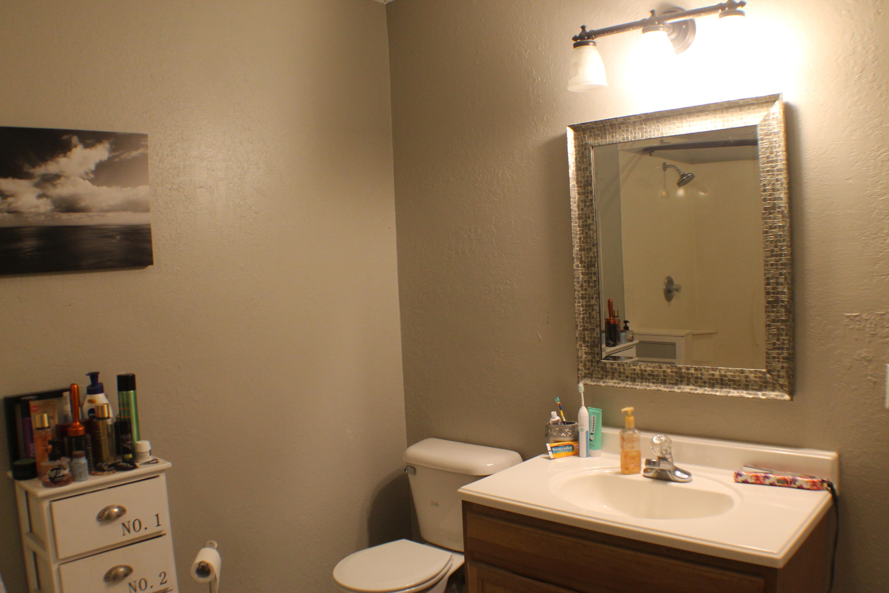 5843 Dairy Road Baker, FL 32531 - Photo 22 of 37 a bathroom with a sink a toilet and mirror