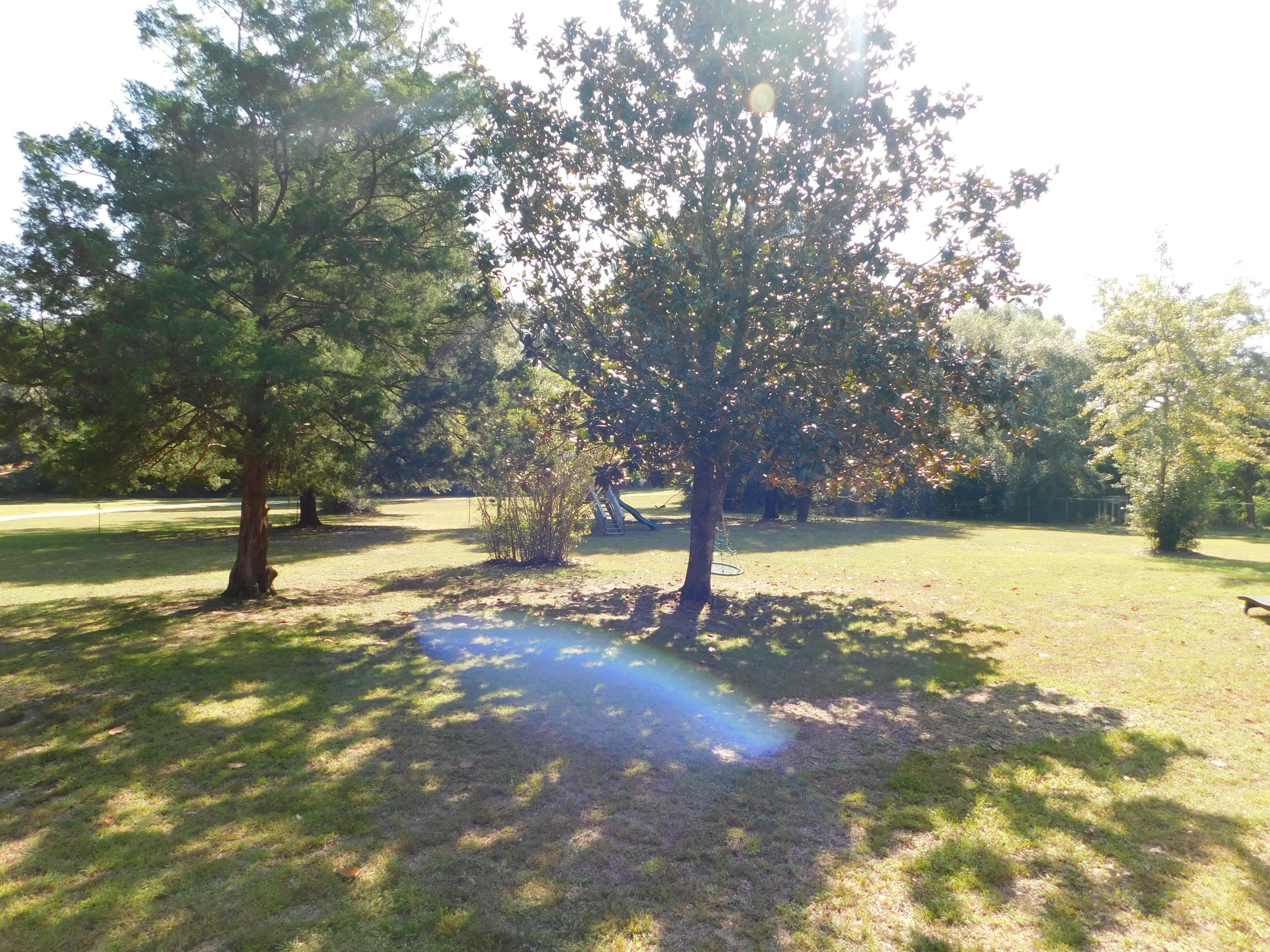 5843 Dairy Road Baker, FL 32531 - Photo 37 of 37 a view of yard with tree