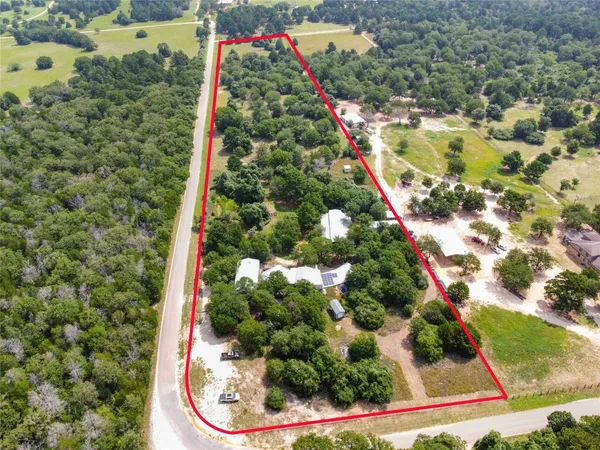 a picture of flowers