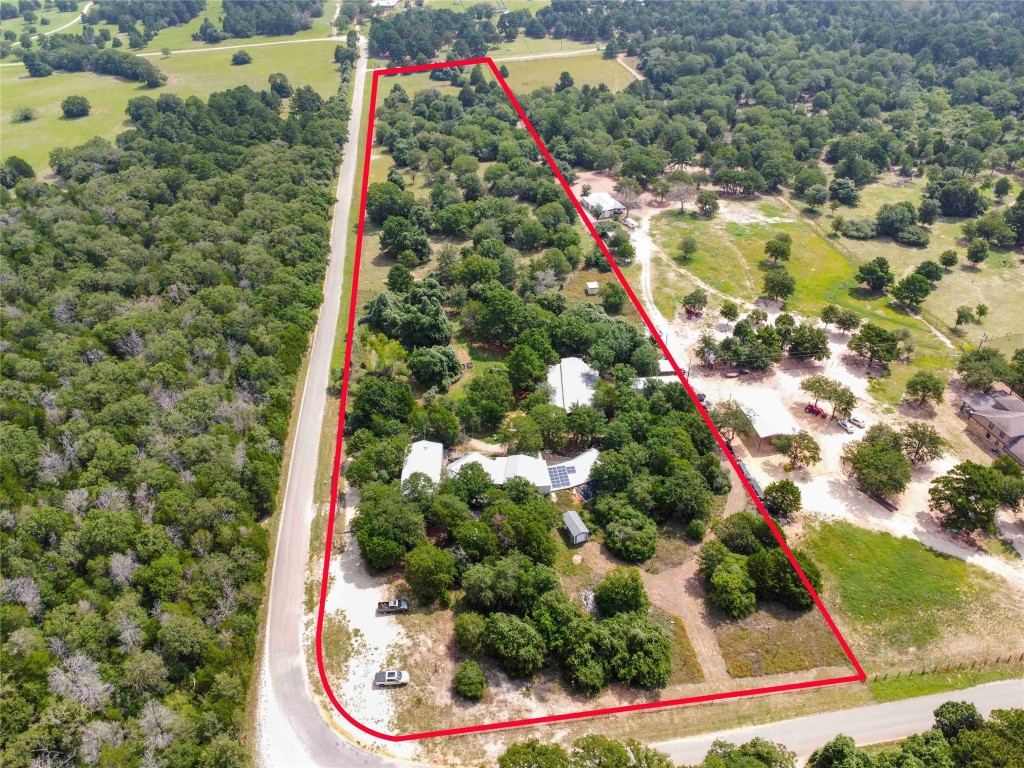 a picture of flowers