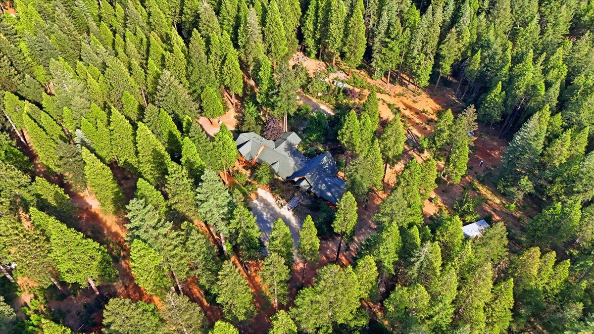 14496 Oak Ridge Road Nevada City, CA 95959 - Photo 77 of 81 Gallery Image 77
