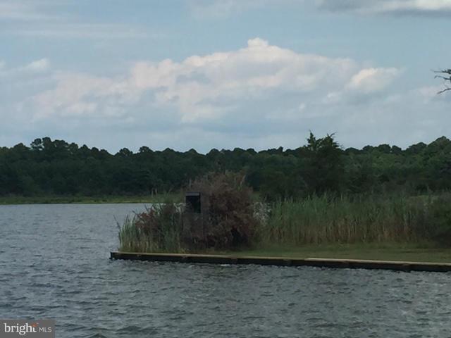 4920 Gregory Road Cambridge, MD 21613 - Photo 11 of 23 River Duck Blind