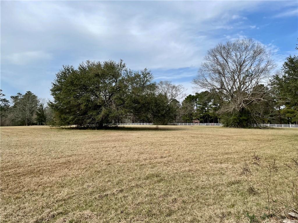 212-213 Turkey Ridge Road Bush, LA 70431 - Photo 3 of 5