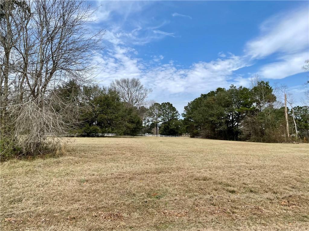 212-213 Turkey Ridge Road Bush, LA 70431 - Photo 4 of 5