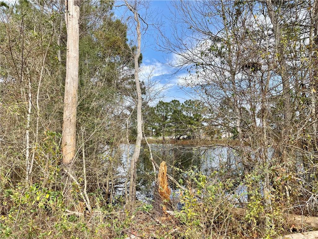 212-213 Turkey Ridge Road Bush, LA 70431 - Photo 5 of 5