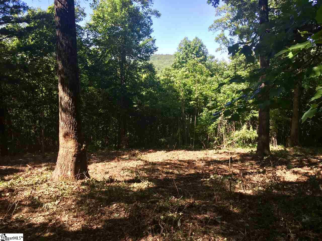 28 Wild Ginger Road Landrum, SC 29356 - Photo 1 of 4