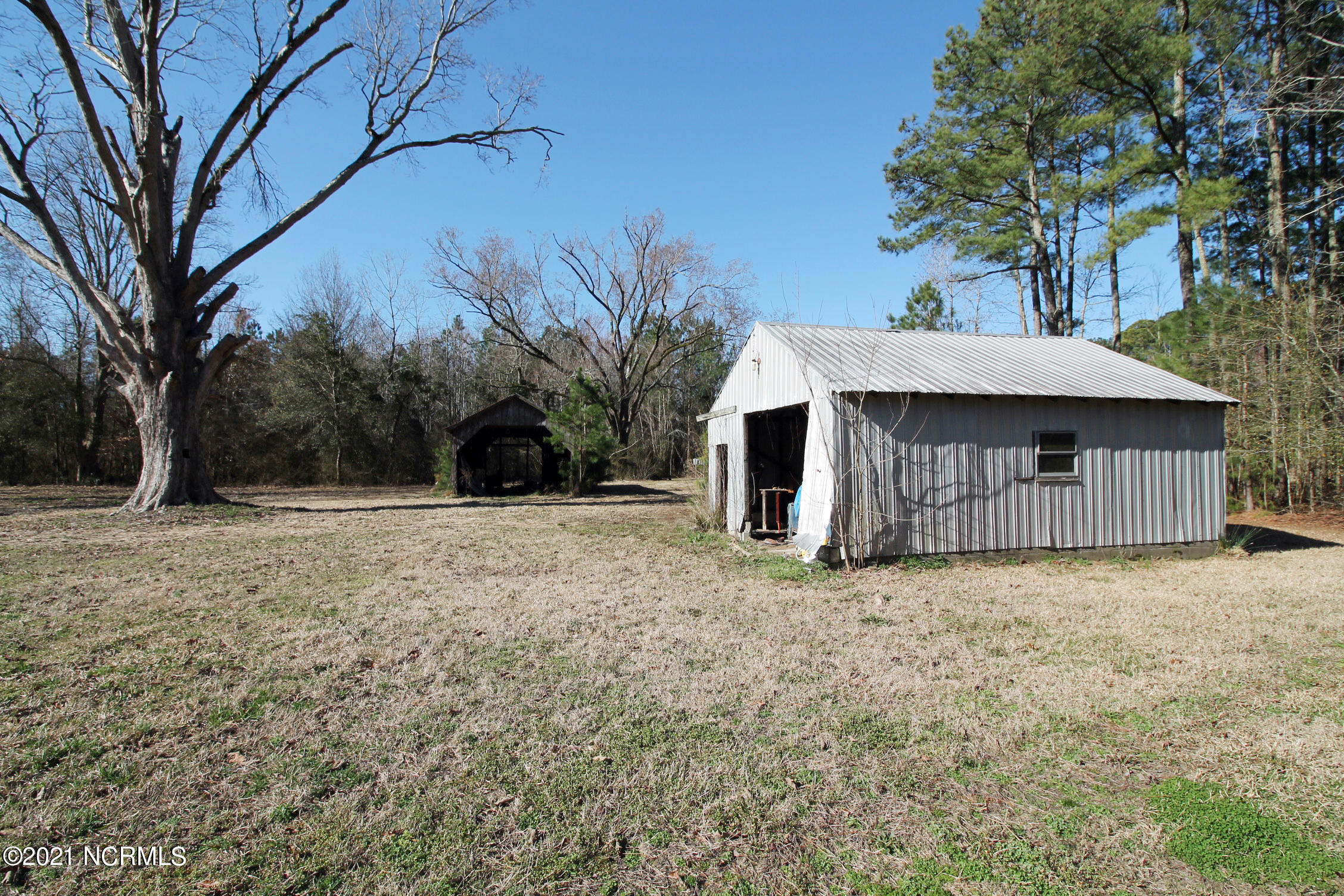 357 Pike Road Pantego, NC 27860 - Photo 23 of 24 1.2 AC BACKYARD