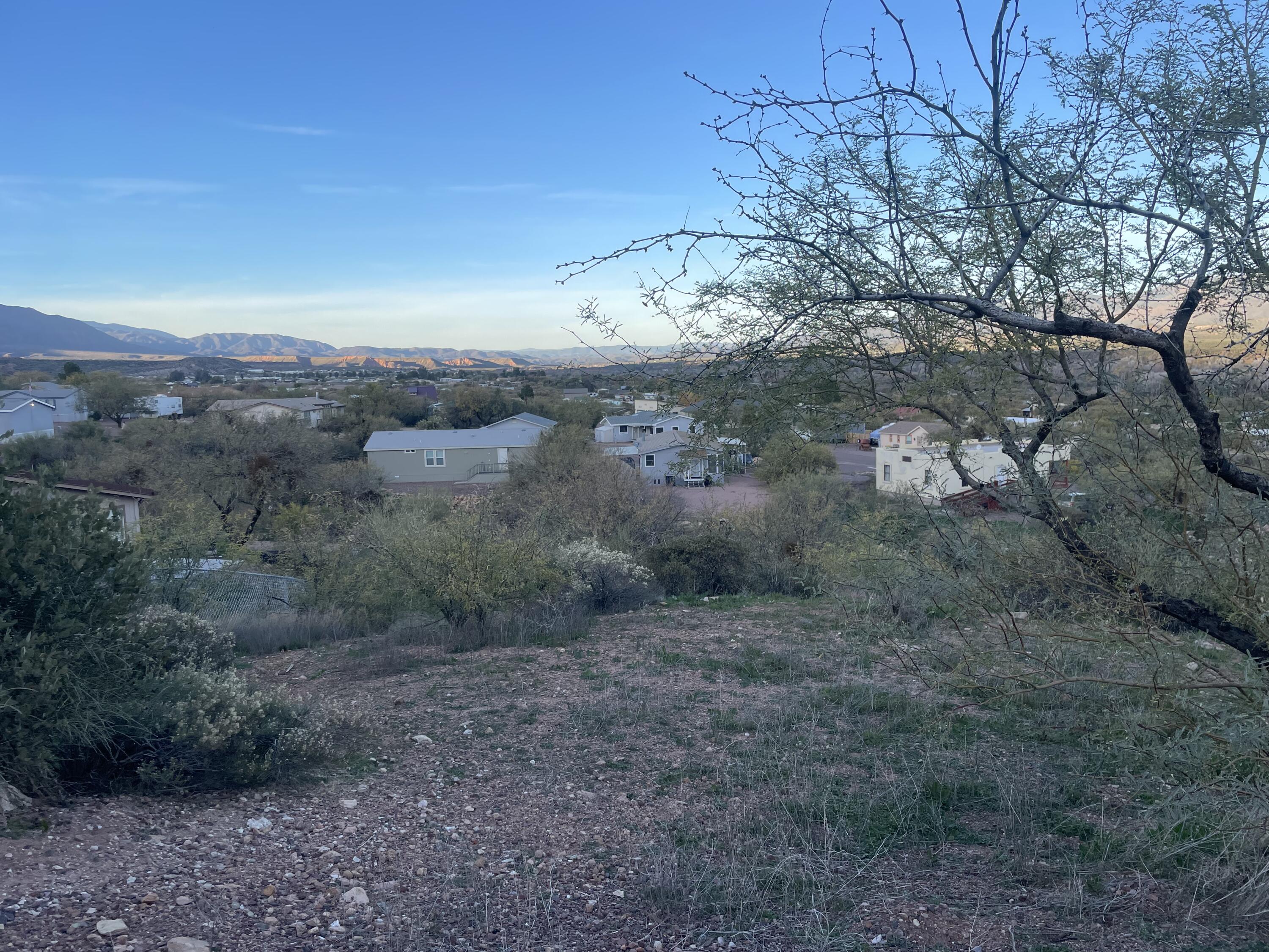 68 Saguaro Road Tonto Basin, AZ 85553 - Photo 7 of 8 a view of a dry yard with trees