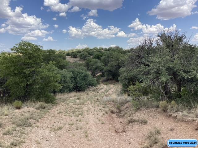Xxx Old Rnch Road Silver City, NM 88061 - Photo 1 of 1 Gallery Image 1