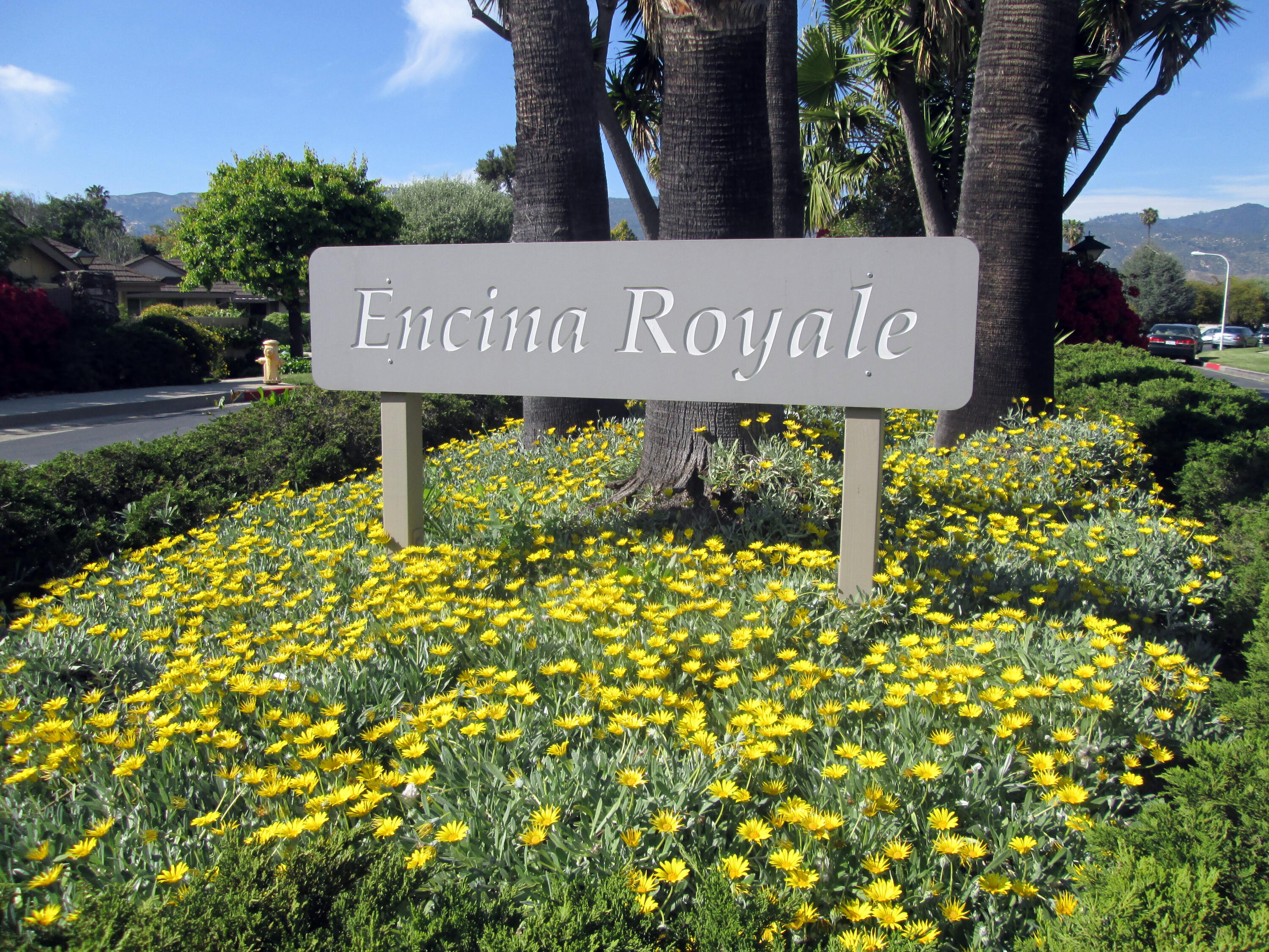 a sign broad in front of flowers