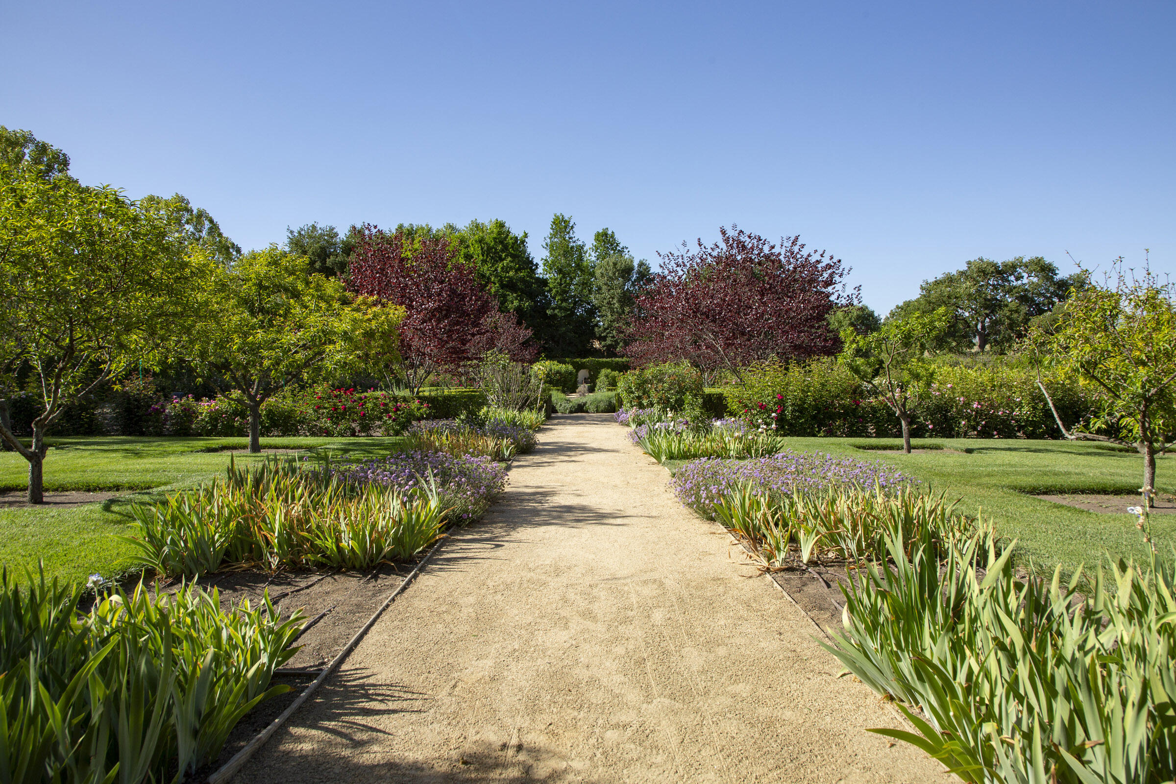 5200 Armour Ranch Road Santa Ynez, CA 93460 - Photo 45 of 54 Gardens