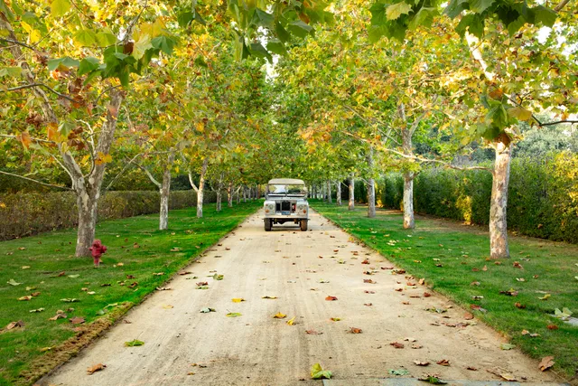 $15,500,000 | 5200 Armour Ranch Road, Santa Ynez, CA 93460