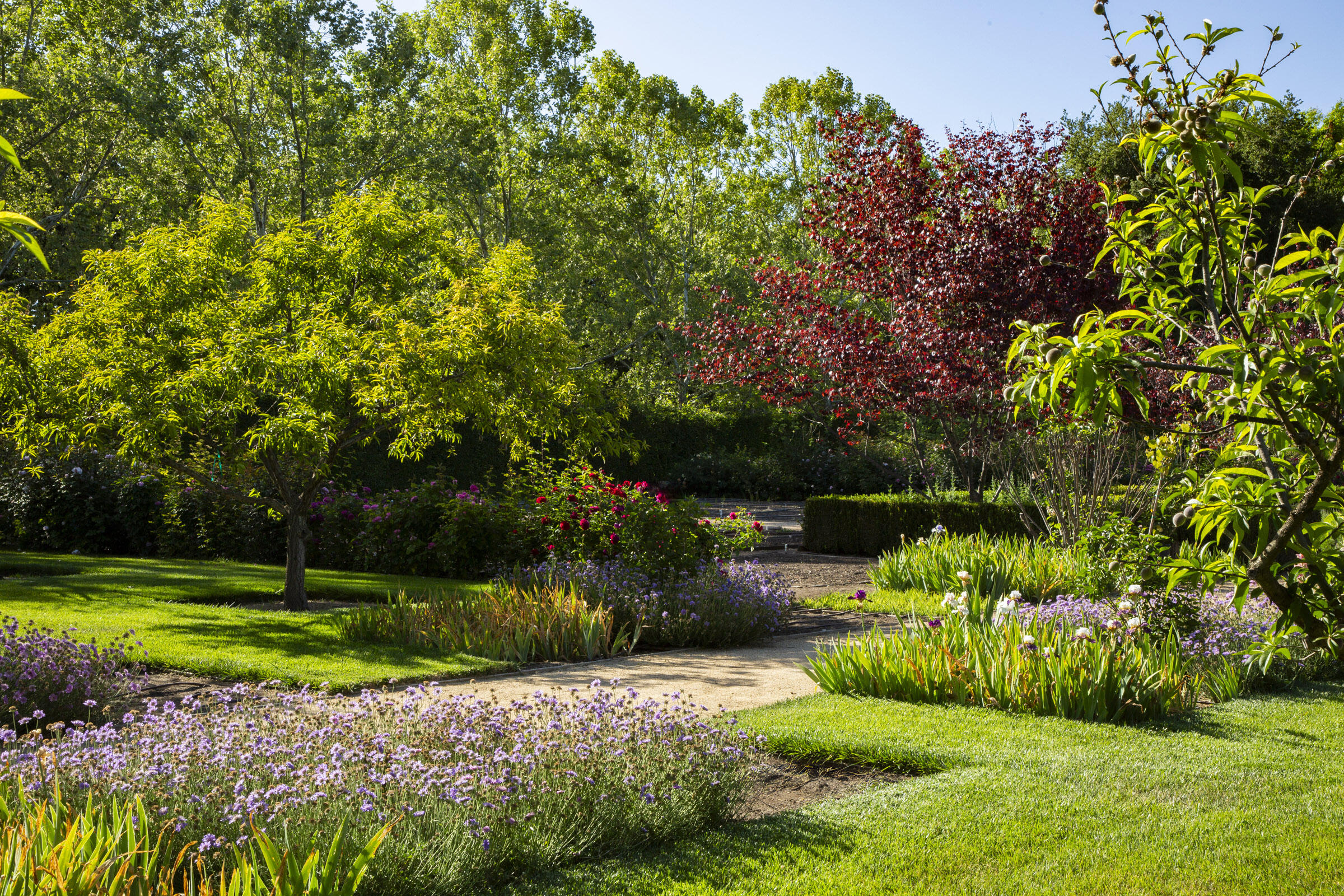 5200 Armour Ranch Road Santa Ynez, CA 93460 - Photo 51 of 54 Gardens
