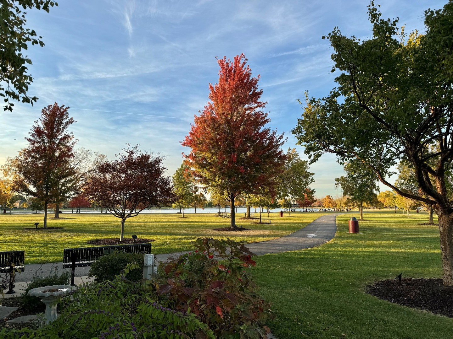 711 South River Road, Unit 314 Des Plaines, IL 60016 - Photo 21 of 56 Gallery Image 21