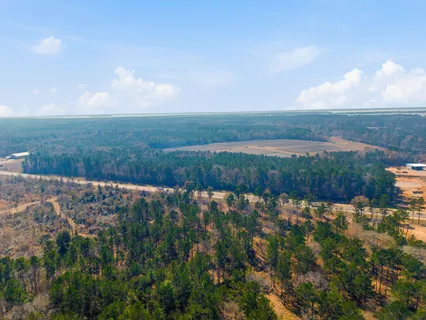 a view of road with trees