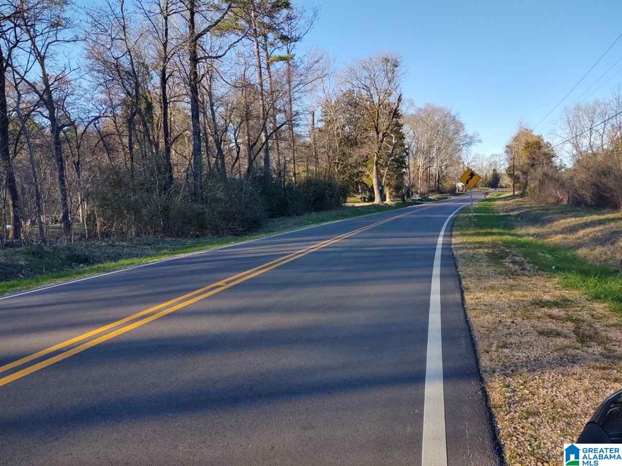 0 Highway 17, Unit 1 Montevallo, AL 35115 - Photo 3 of 7