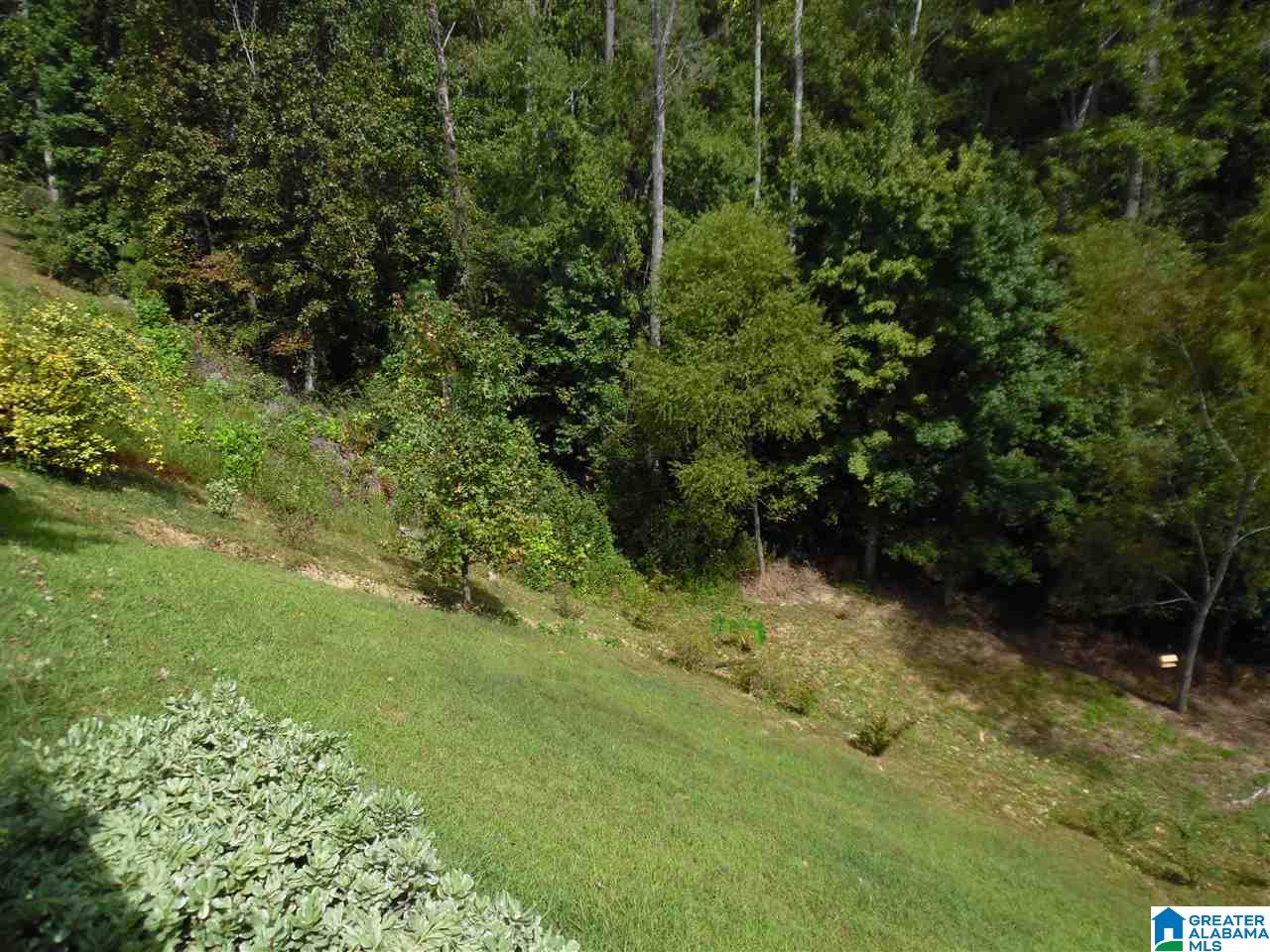 390 Chesser Plantation Lane Chelsea, AL 35043 - Photo 18 of 19