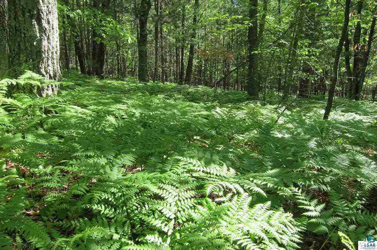 10-acres Rustic Road Washburn, WI 54891 - Photo 11 of 20 Gallery Image 11