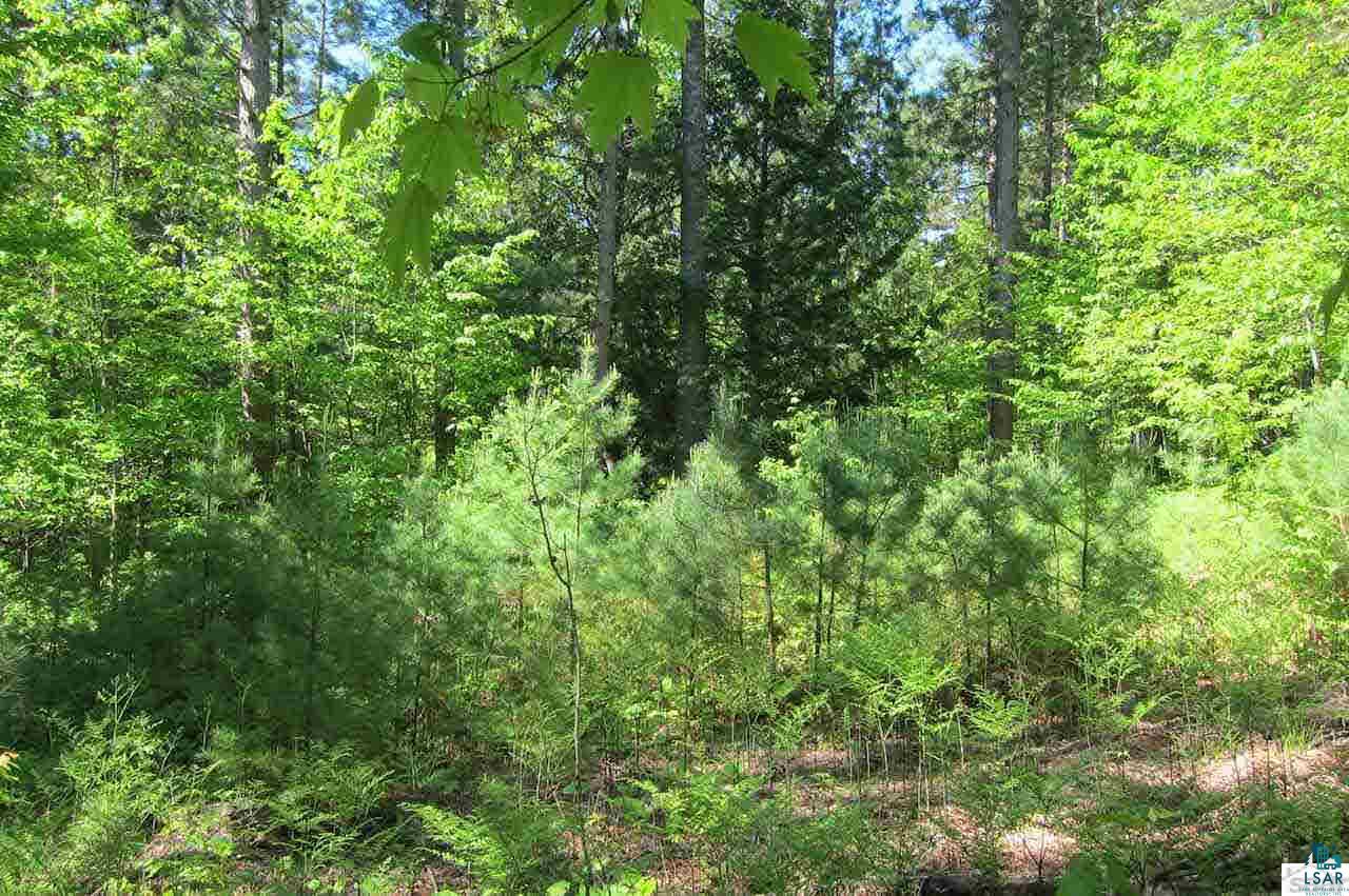10-acres Rustic Road Washburn, WI 54891 - Photo 12 of 20 Gallery Image 12