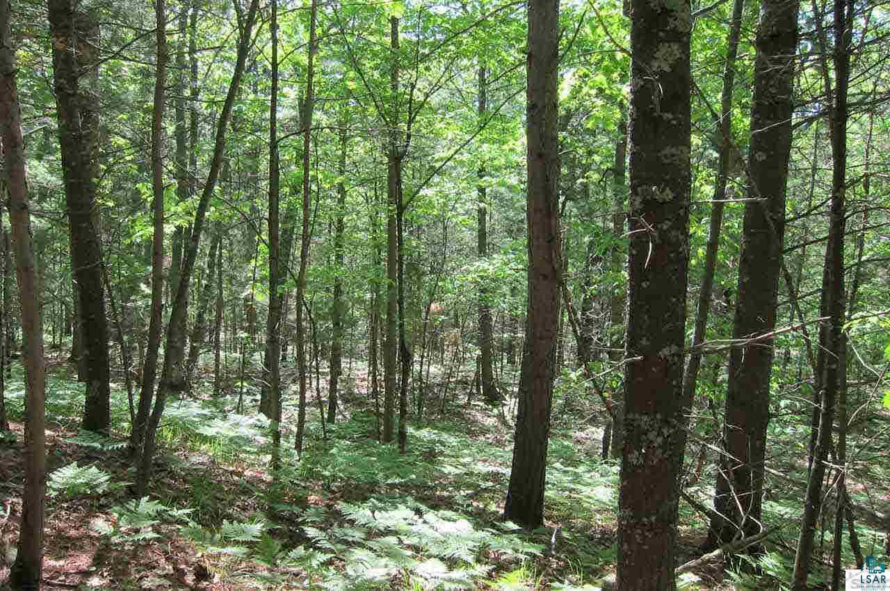 10-acres Rustic Road Washburn, WI 54891 - Photo 16 of 20 Gallery Image 16