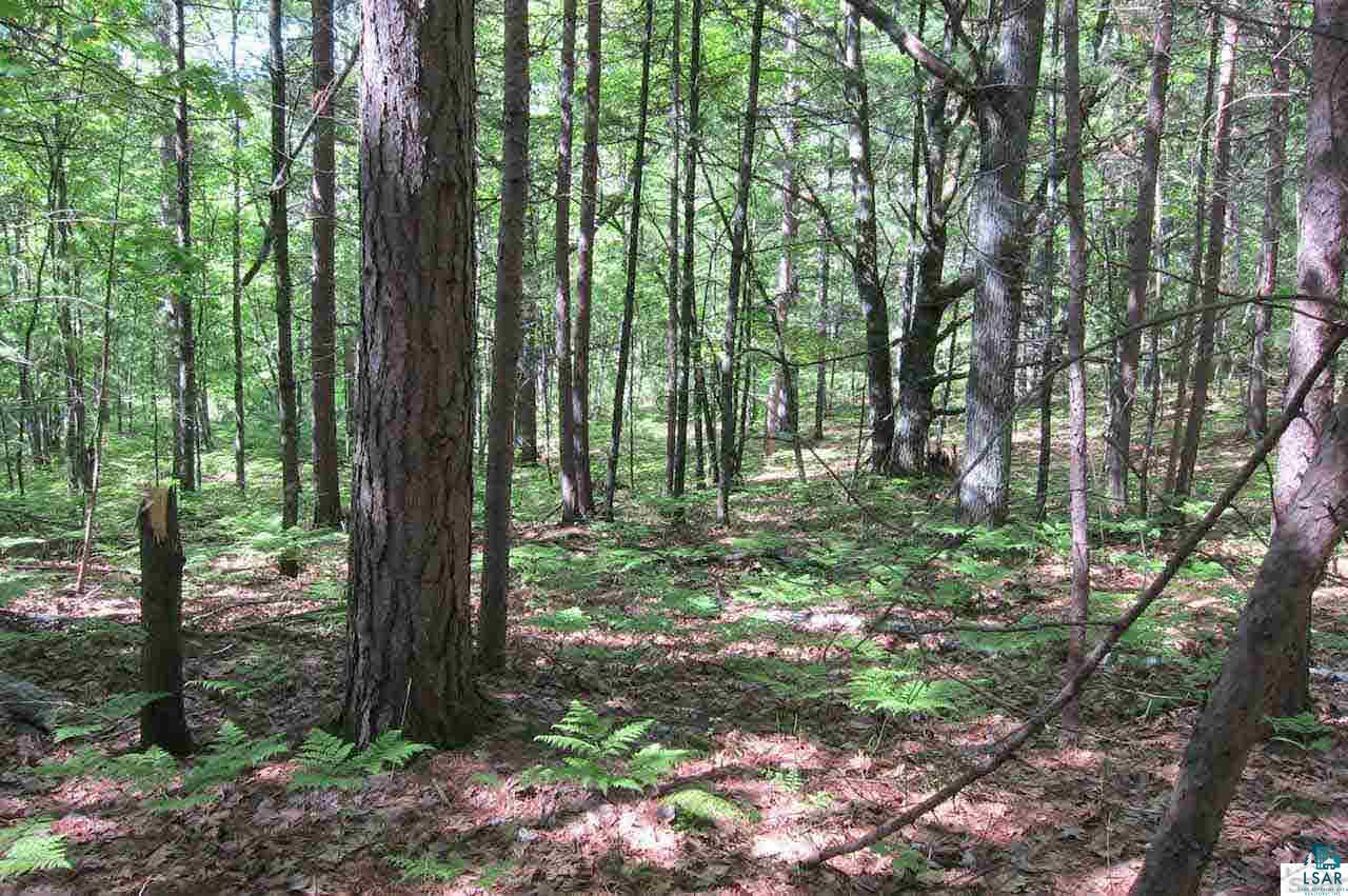 10-acres Rustic Road Washburn, WI 54891 - Photo 17 of 20 Gallery Image 17