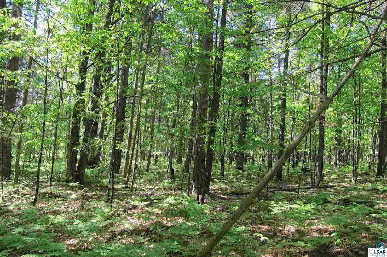 10-acres Rustic Road Washburn, WI 54891 - Photo 19 of 20 Gallery Image 19