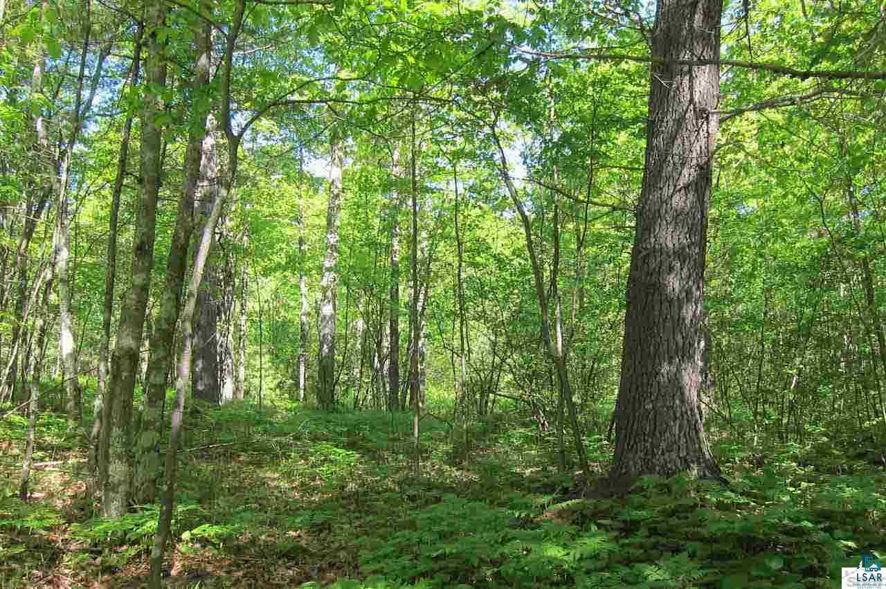 10-acres Rustic Road Washburn, WI 54891 - Photo 4 of 20 Gallery Image 4