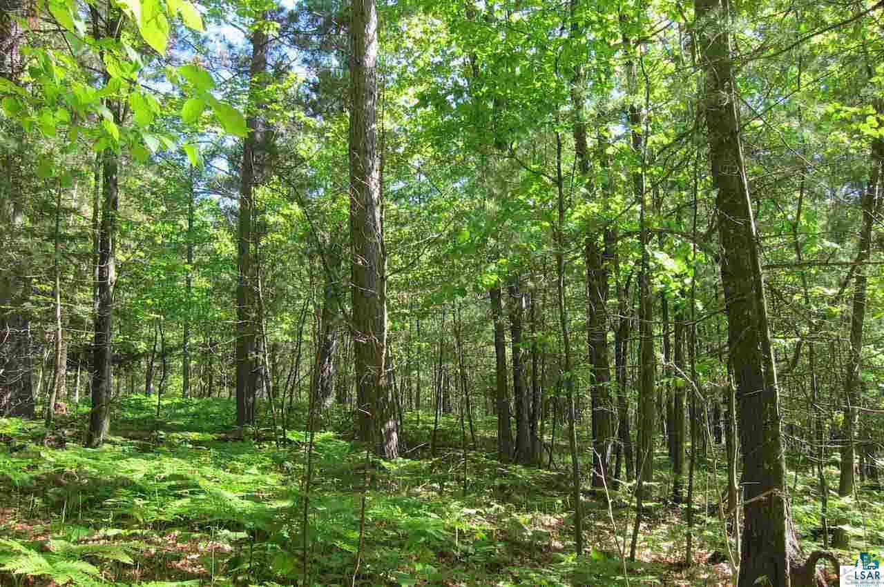 10-acres Rustic Road Washburn, WI 54891 - Photo 6 of 20 Gallery Image 6