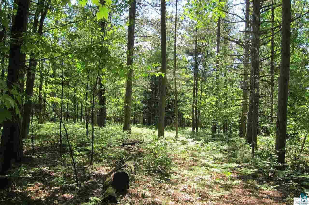 10-acres Rustic Road Washburn, WI 54891 - Photo 10 of 20 Gallery Image 10