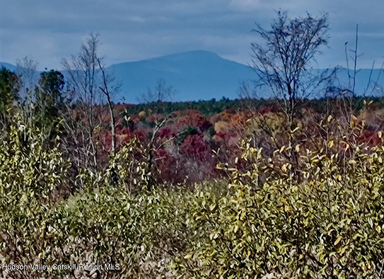 0 Manor Rock Road Craryville, NY 12521 - Photo 1 of 12