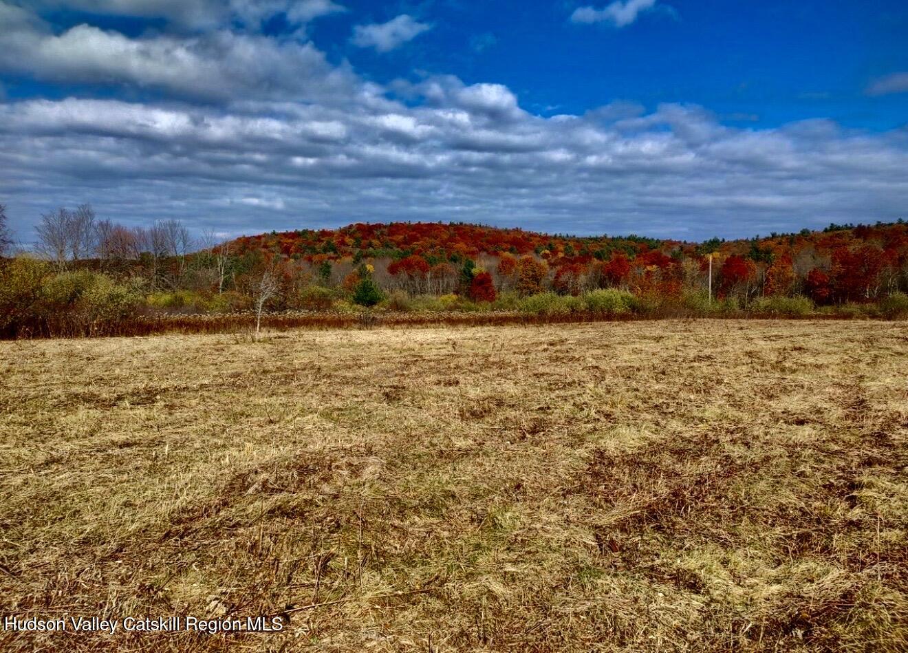 0 Manor Rock Road Craryville, NY 12521 - Photo 2 of 12 a view of a lake