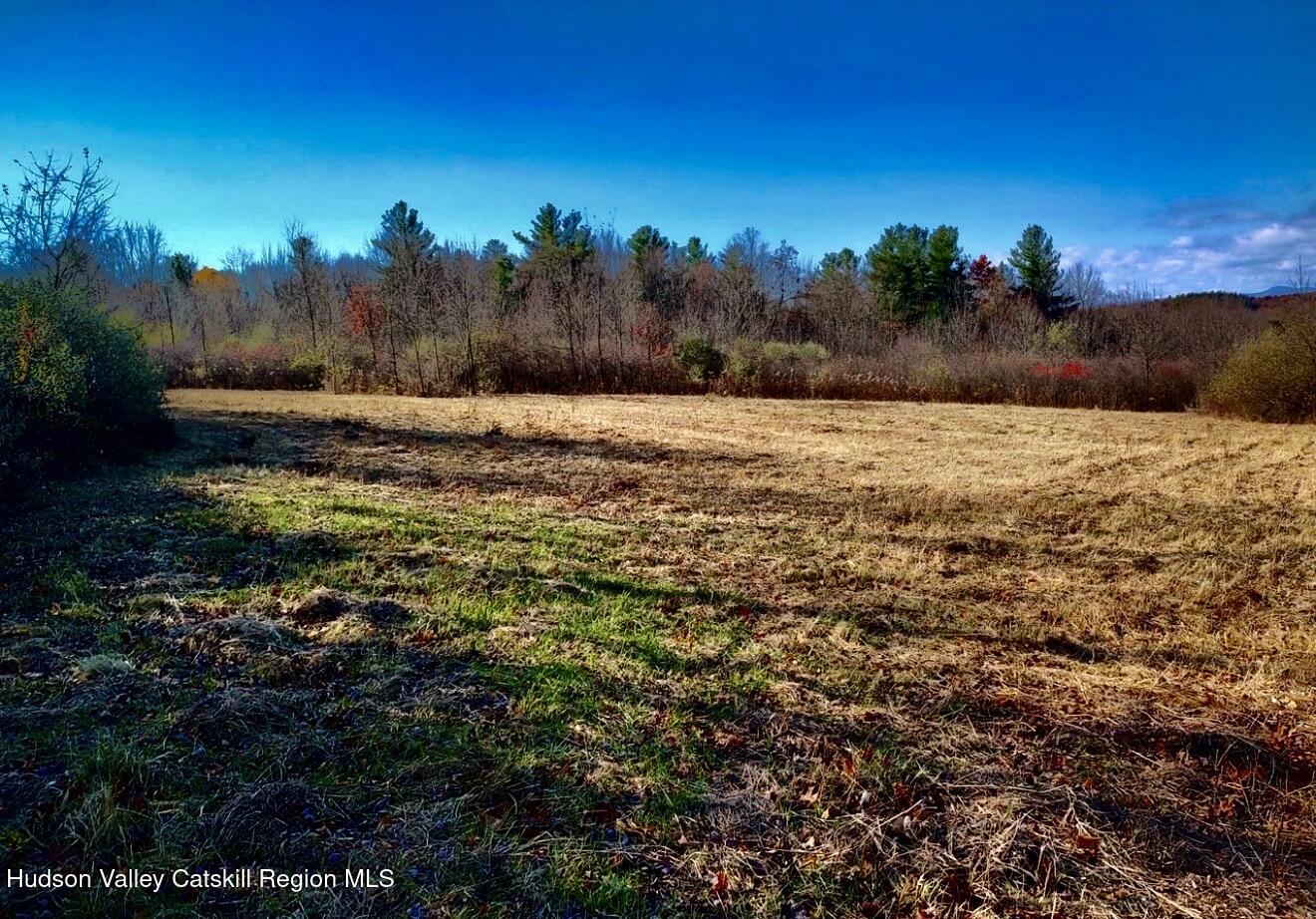 0 Manor Rock Road Craryville, NY 12521 - Photo 4 of 12 a view of a yard