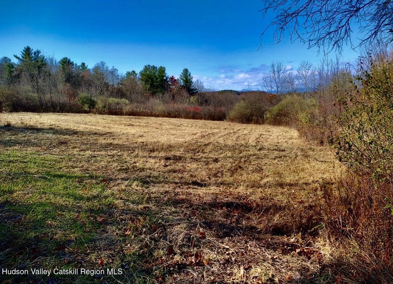 0 Manor Rock Road Craryville, NY 12521 - Photo 5 of 12 a view of a yard