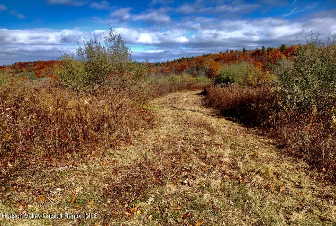 0 Manor Rock Road Craryville, NY 12521 - Photo 6 of 12 a view of a yard