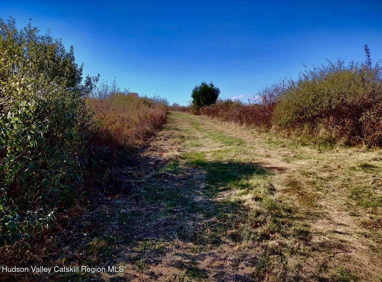 0 Manor Rock Road Craryville, NY 12521 - Photo 7 of 12