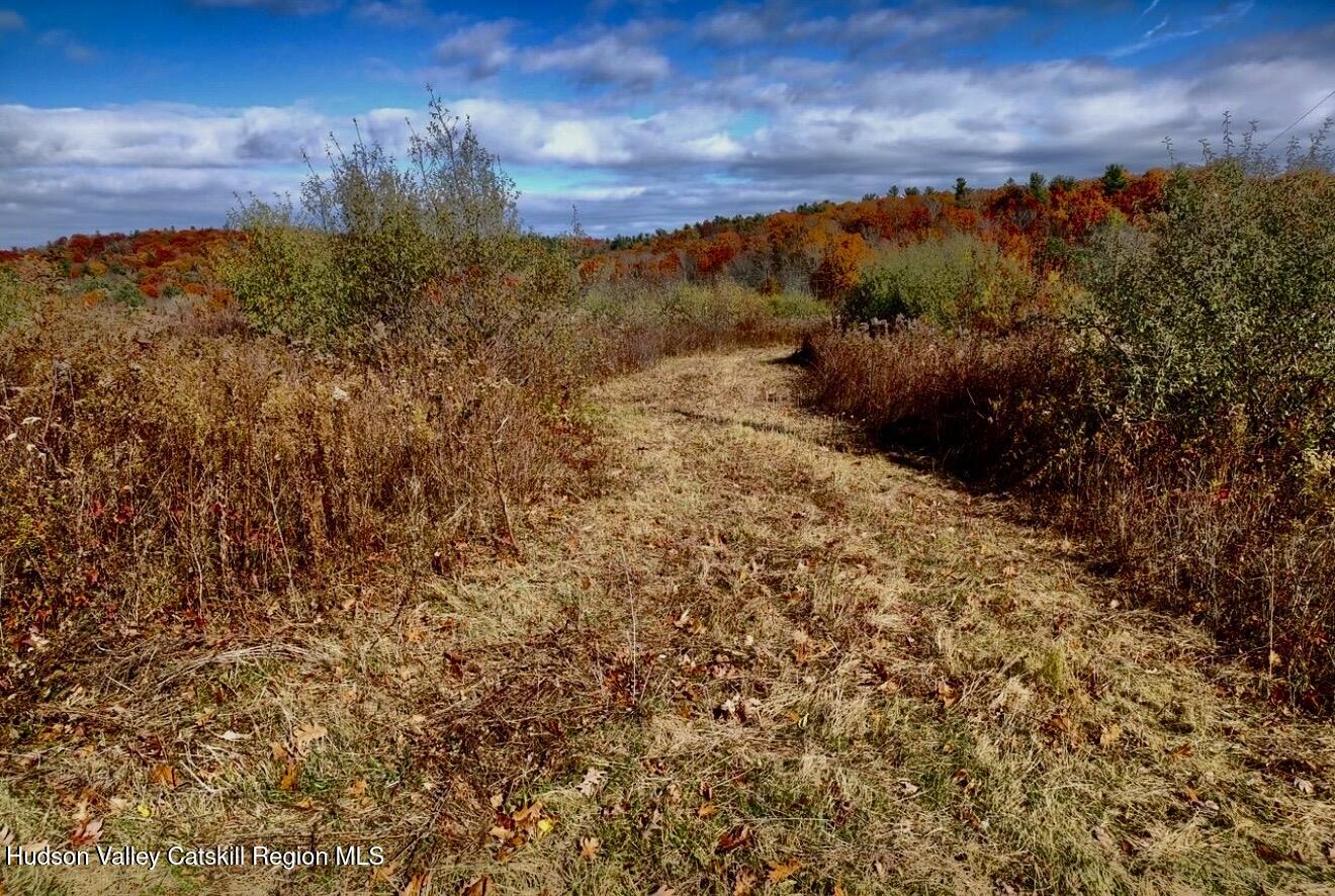 0 Manor Rock Road Craryville, NY 12521 - Photo 8 of 12 a view of a yard