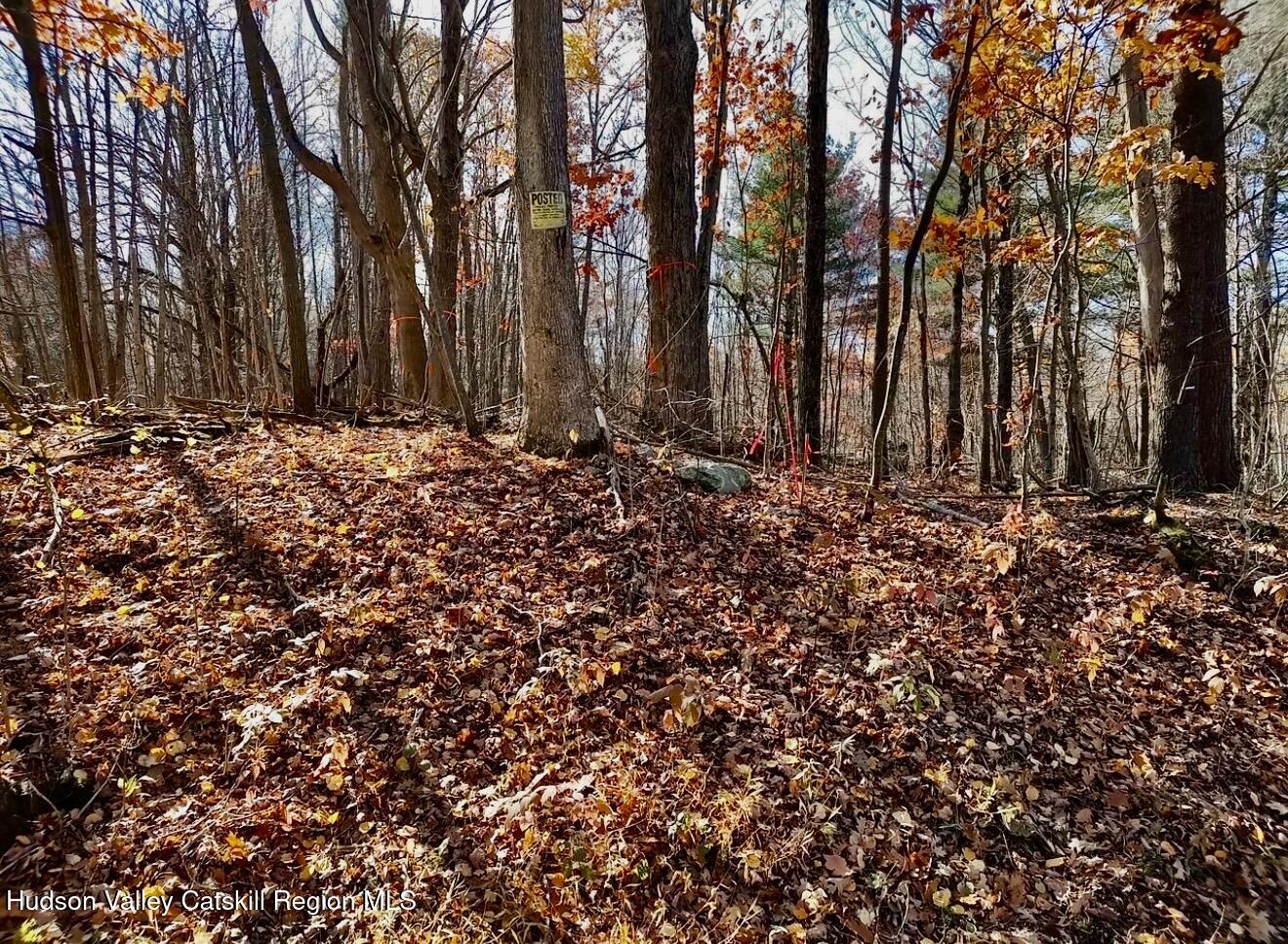 0 Manor Rock Road Craryville, NY 12521 - Photo 9 of 12