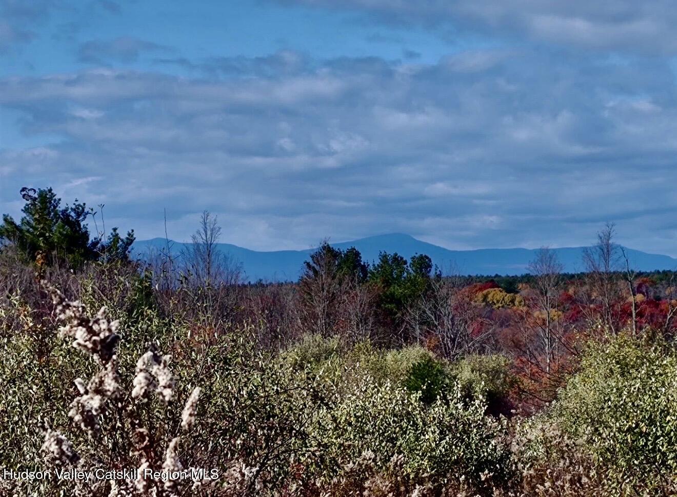 0 Manor Rock Road Craryville, NY 12521 - Photo 10 of 12