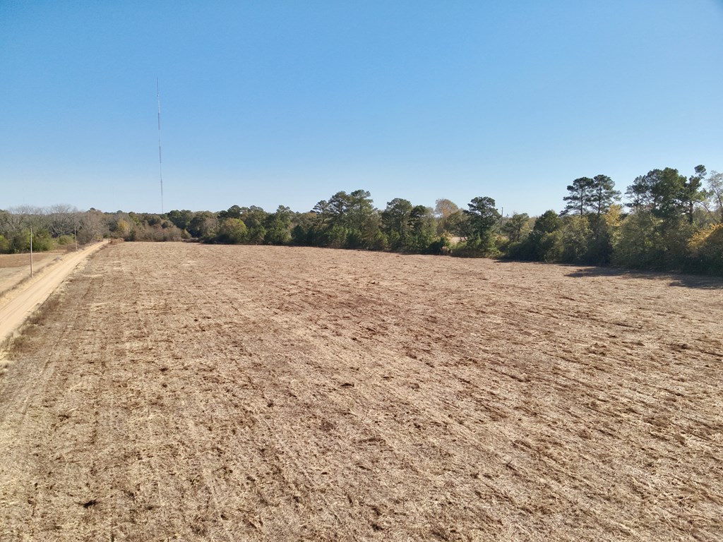 10.73-acres Huskey Road Dothan, AL 36303 - Photo 11 of 13
