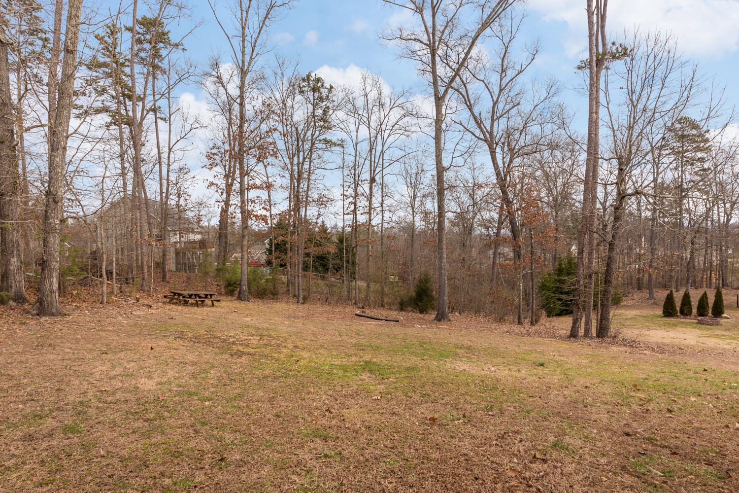 10333 Fielding Road Ooltewah, TN 37363 - Photo 32 of 41 10333_Fielding_Rd_007
