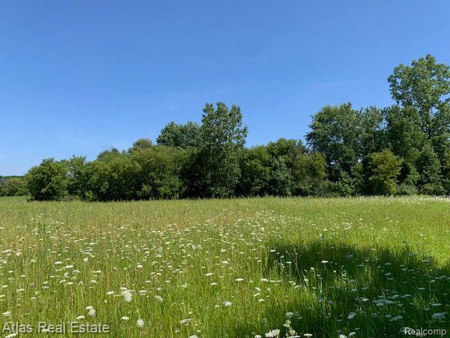 0 East Carpenter Road Davison, MI 48423 - Photo 2 of 9 Gallery Image 2