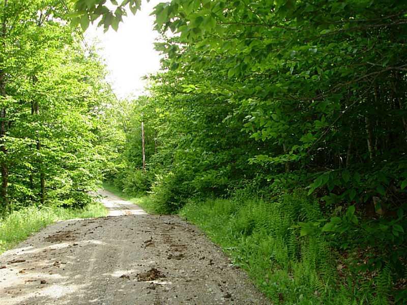0 Old Mudgett Road South Newburgh, ME 04444 - Photo 4 of 6 Land.