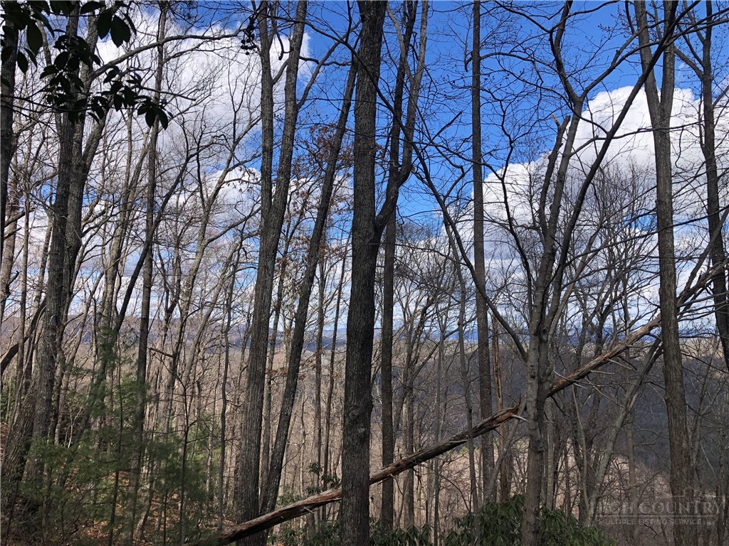 Lot 21 Bobcat Mountain Road Purlear, NC 28665 - Photo 4 of 46 a view of trees in front of house