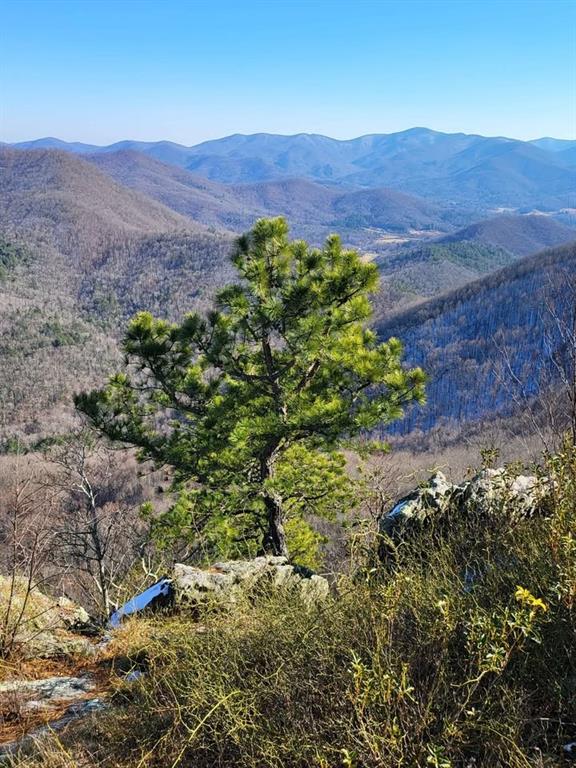 325 Scataway Road Hiawassee, GA 30546 - Photo 41 of 46